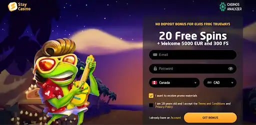 StayCasino Casino gives