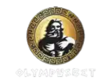 Olympusbet Casino