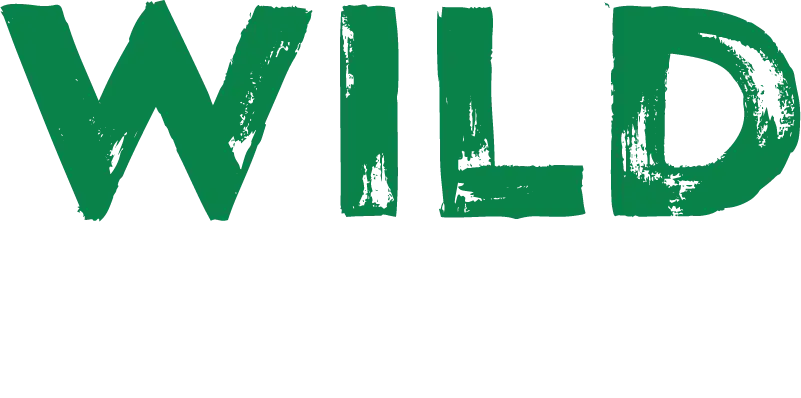 Wild Casino logo