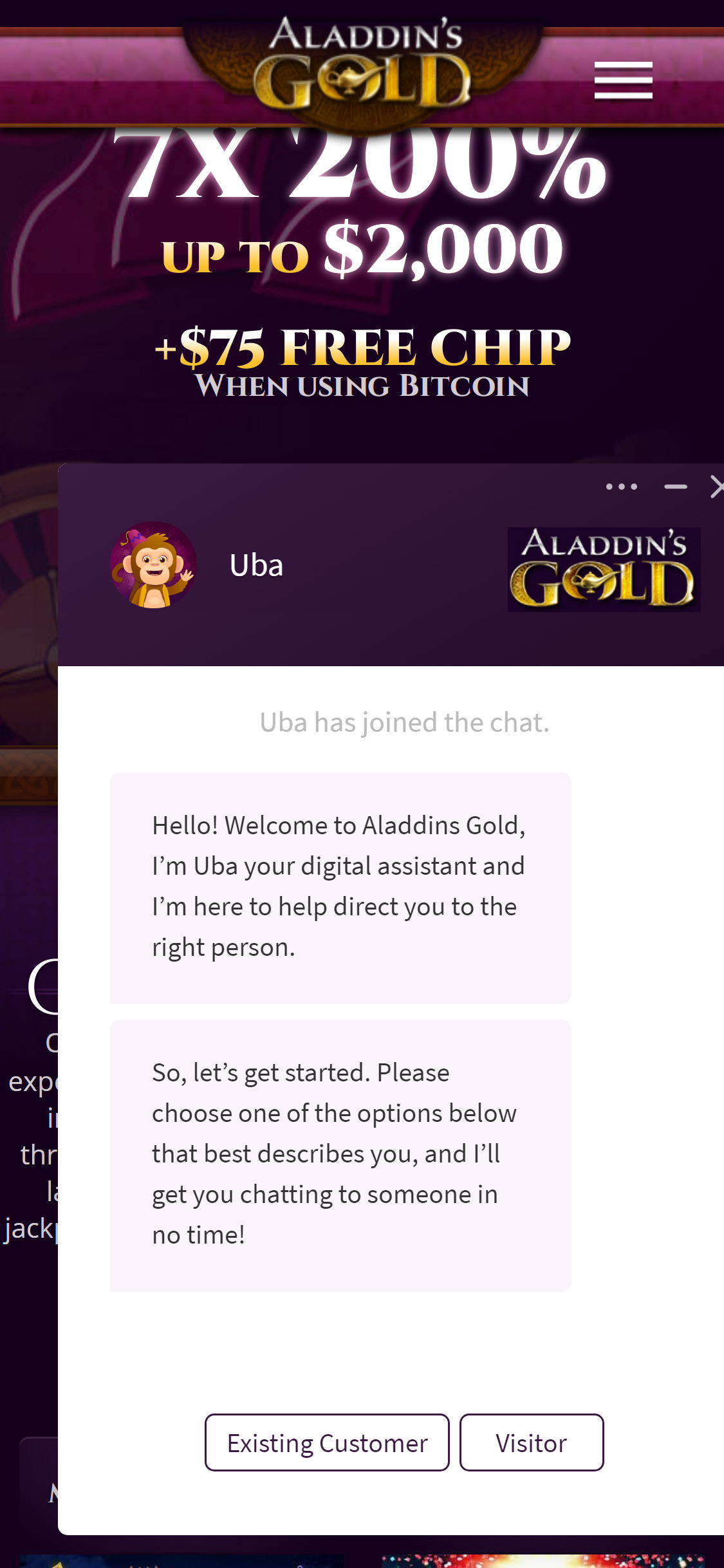 AladdinsGoldCasino Mobile Support Review