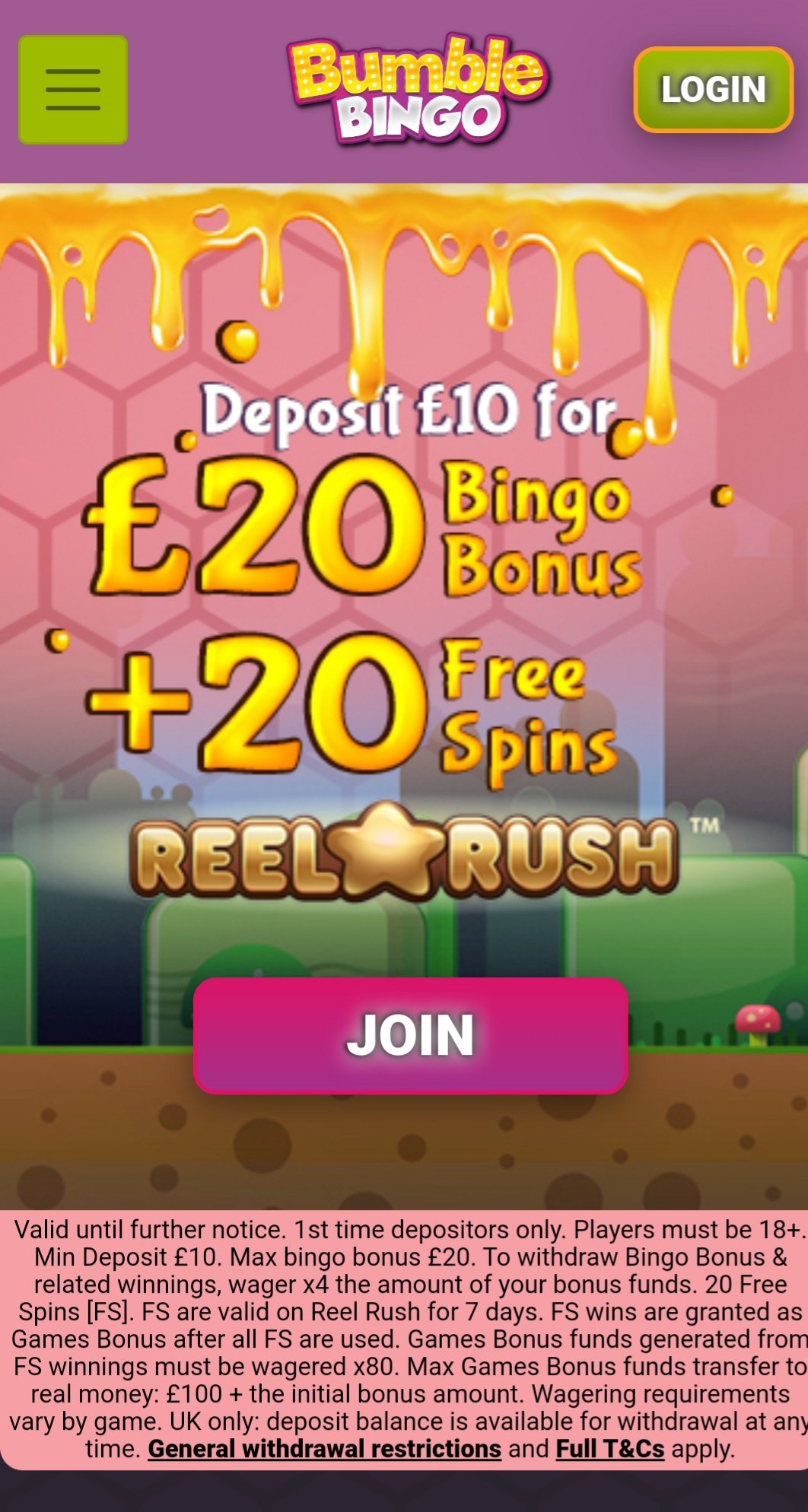 Bumble Bingo Casino Mobile Review