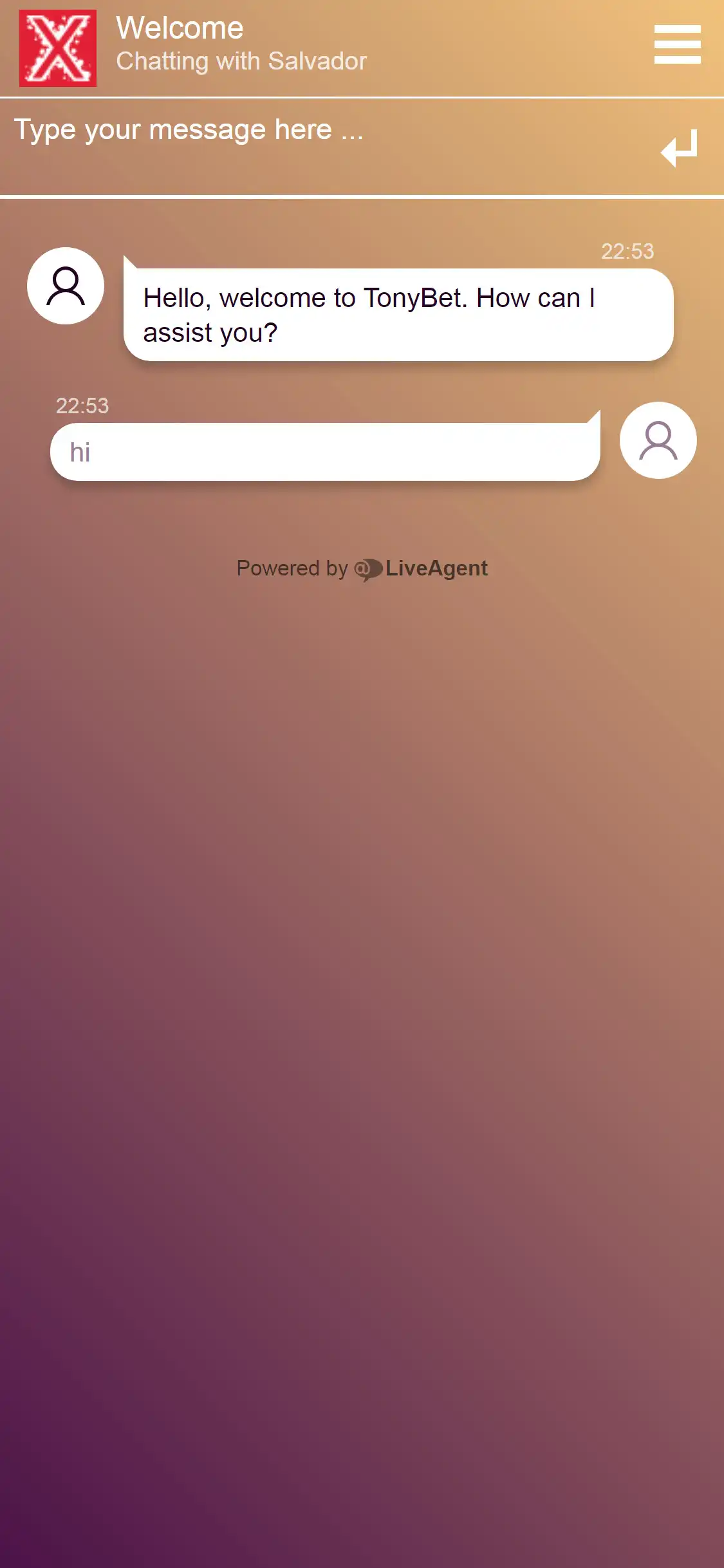 TonyBet Casino Mobile Support Review