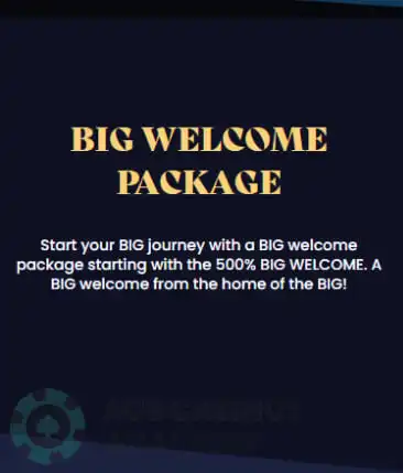 WinBig21 Casino Mobile Games Review